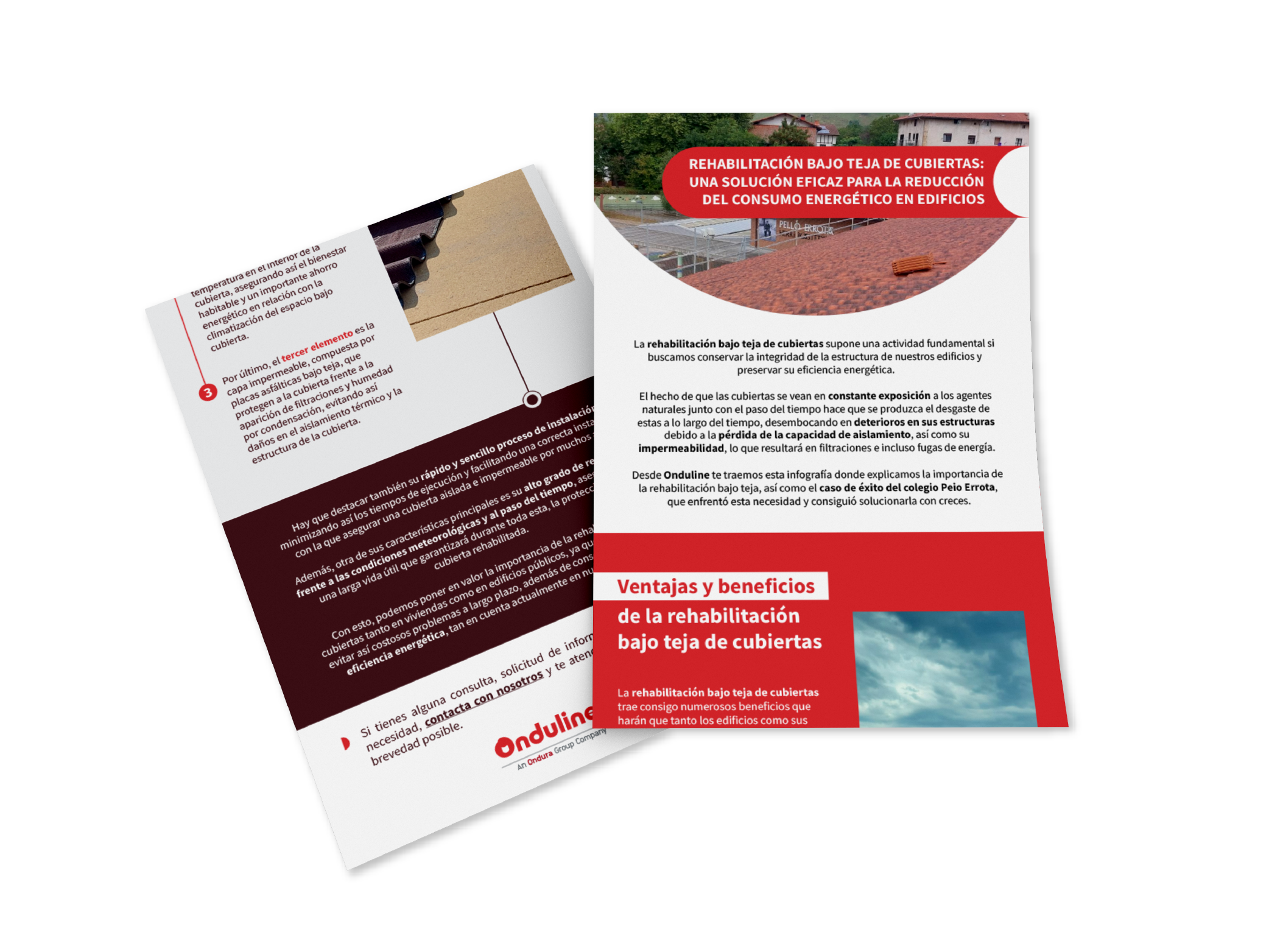 lpmockup-infografia-04